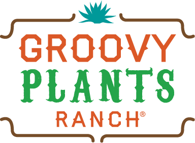 The Groovy Plants Ranch